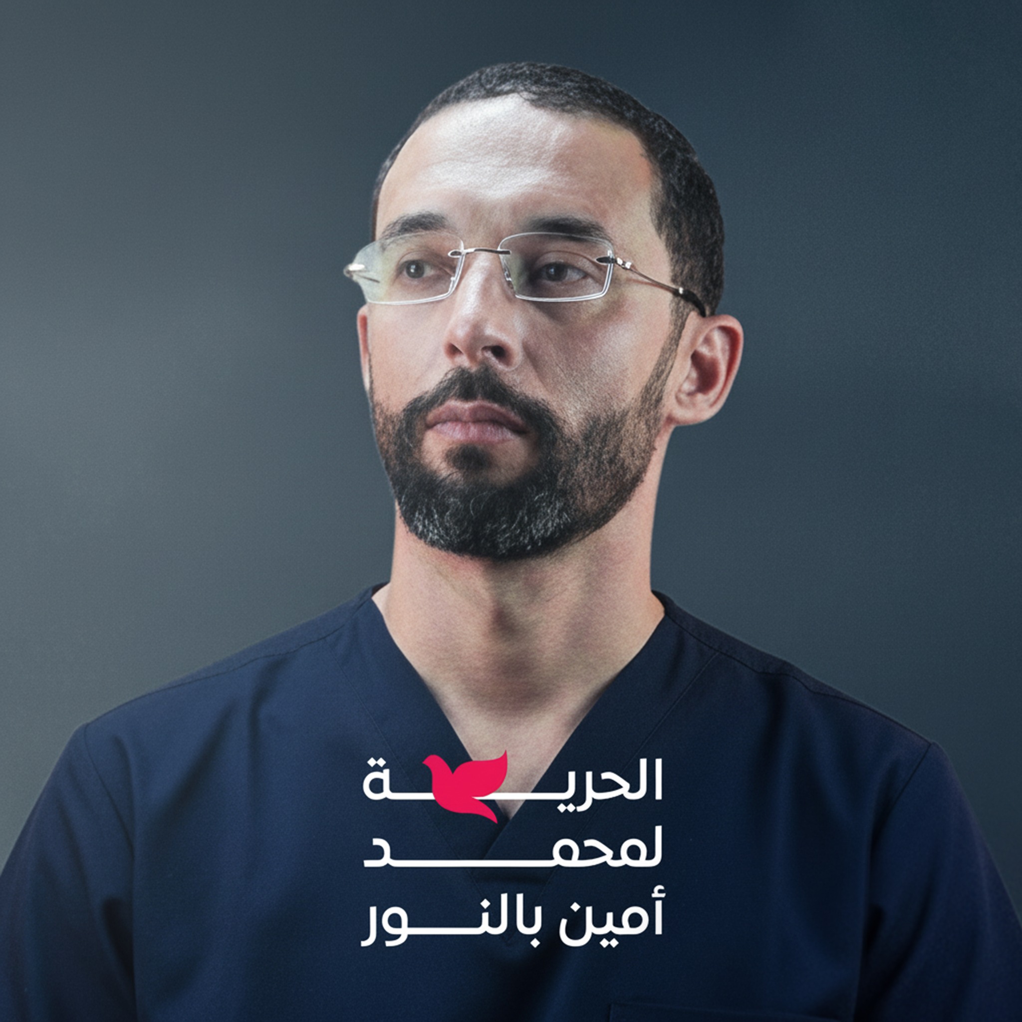 الدكتور محمد أمين بالنور